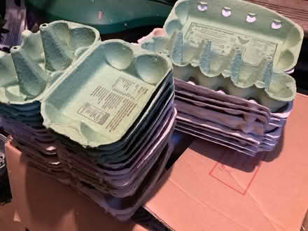Photo of free Egg Cartons (Waldridge Park DH2) #1