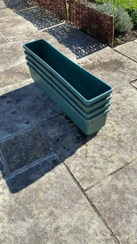 Photo of free Tomato Planters (GL50) #2