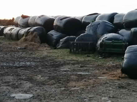 Photo of free Silage bales (R95cc03) #1