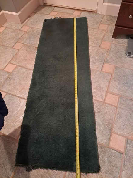 Photo of free Dark Green Rug Remnant (North City, Shoreline) #1