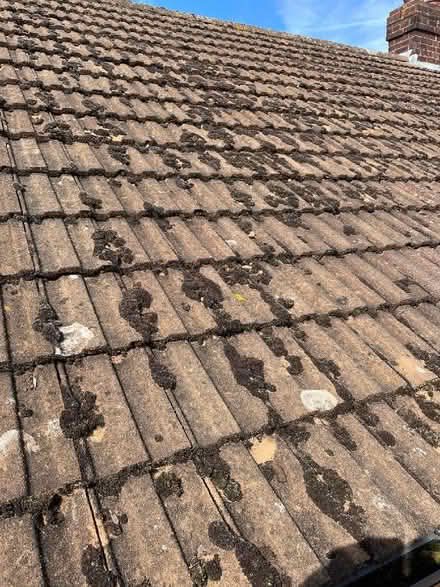 Photo of free Roof Tiles, Concrete, x 100, Marley (CT2) #1