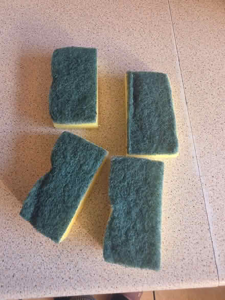 Photo of free Small sponges (Wayfield ME5) #1