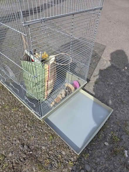 Photo of free Bird cage and bird toys (Milwaukie, Ardenwald) #2