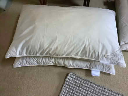 Photo of free x 2 Used Duck Feather & Down Pillows - 48 x 74 cms (Upper Denby HD8) #1
