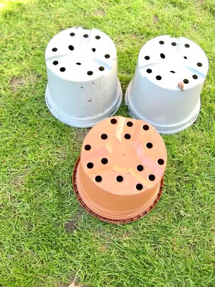 Photo of free 3 large flower pots. 22 cms wide at the top #1