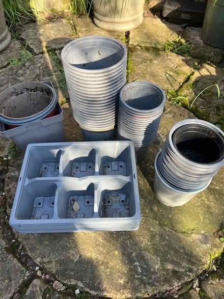 Photo of free Assorted garden pots and trays (Ferndale DY11) #1