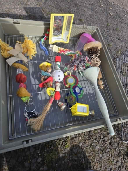Photo of free Bird cage and bird toys (Milwaukie, Ardenwald) #3