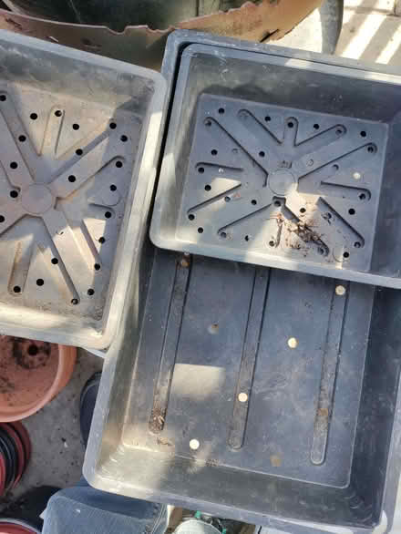 Photo of free Seed trays (California DE22) #2