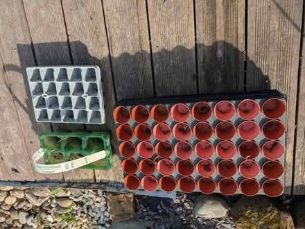 Photo of free Starter pots (Stanton CH63) #1