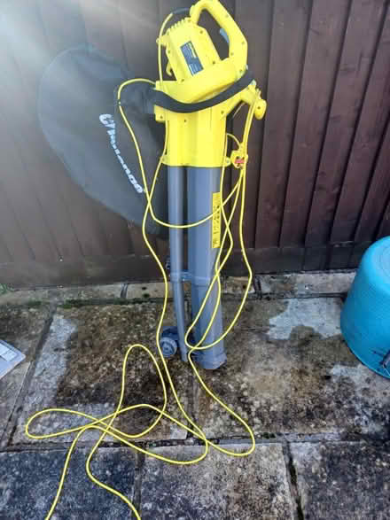Photo of free Leaf blower and collector (Whitmore Park Coventry) #1