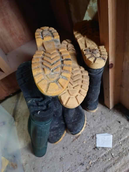 Photo of free Four pairs of wellies (Inwood SY6) #1