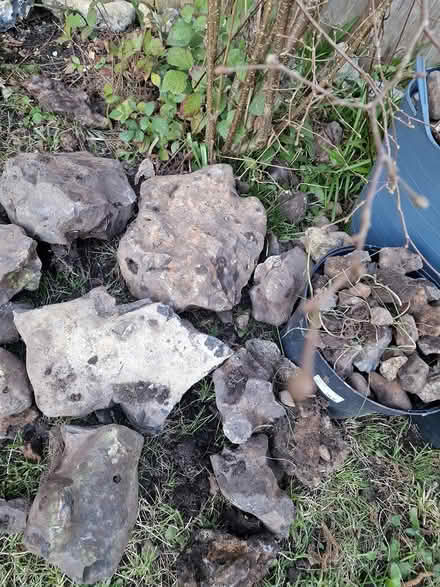 Photo of free Garden rocks (RG4) #2