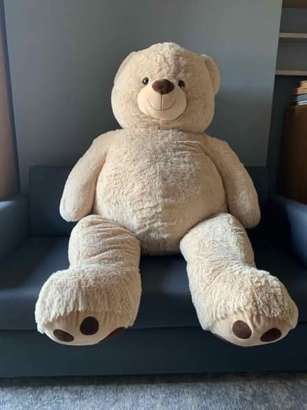 Photo of free Very large teddy bear (GU11) #1