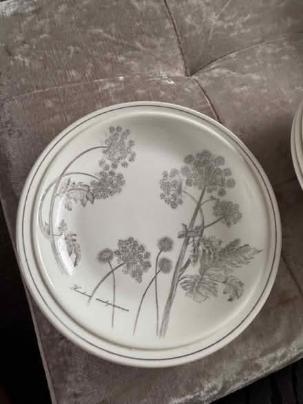 Photo of free Bowls and side plates (NE5 Cowgate) #3