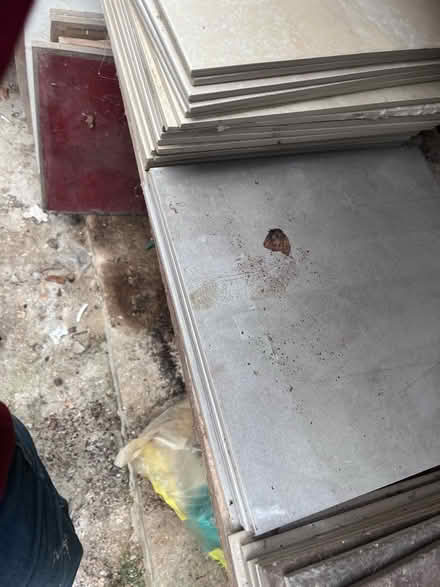 Photo of free Various tiles (Uploders DT6) #4