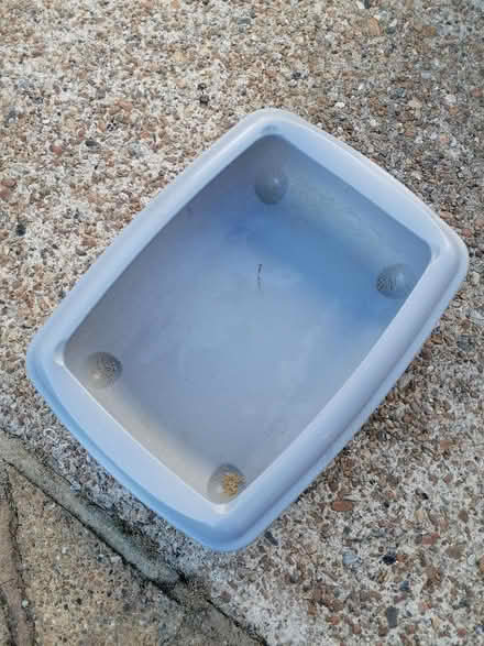 Photo of free Cat litter tray (Langney BN23) #1
