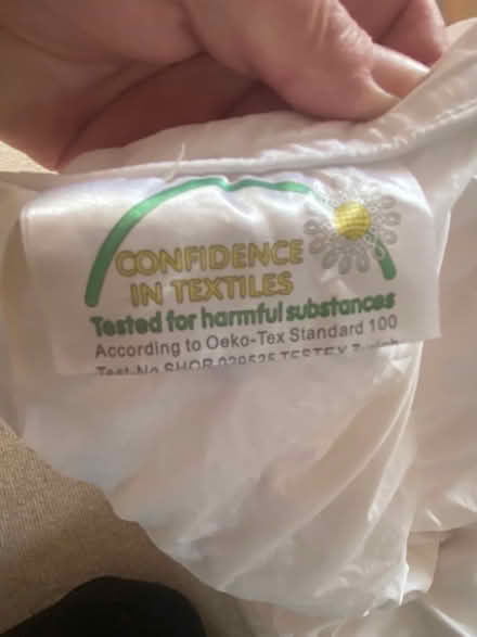 Photo of free King size Goose Feather Quilt (Eastern Green CV5) #3