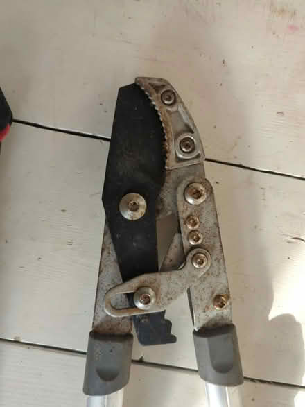 Photo of free Gardening tools (Walsall WS2) #3