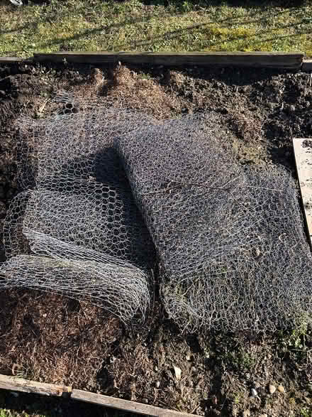 Photo of free Chicken wire (Hitchin SG4) #1