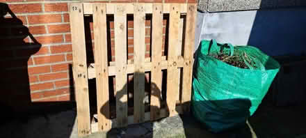 Photo of free Wooden Pallett (Risca, NP11) #1