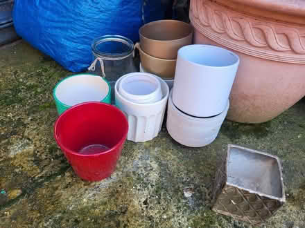 Photo of free Orchid small plant pots (E4 Chingford) #1