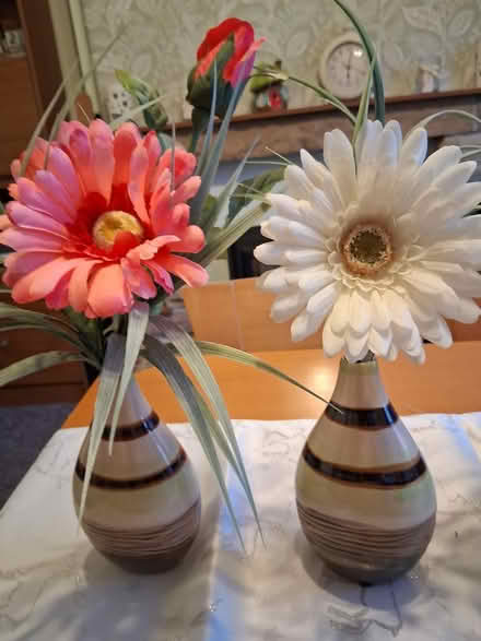 Photo of free 2 bud vases (Stockport SK7) #1
