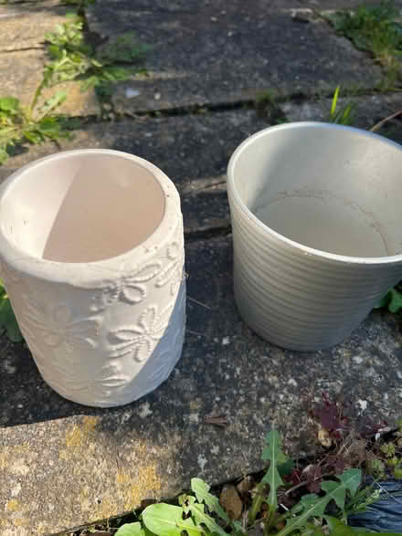 Photo of free Shed clearance (Chiswick W4) #2