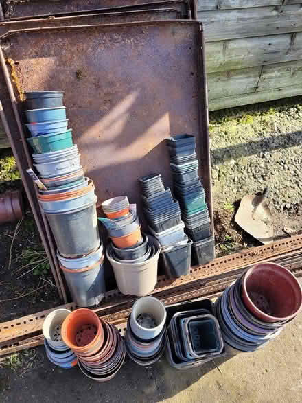 Photo of free Plant pots (PH2 Duncrievie) #2