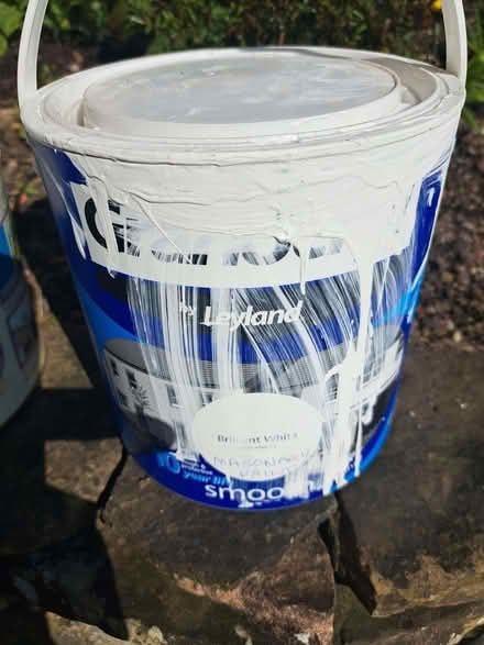 Photo of free Outdoor paint (Dronfield S18) #3