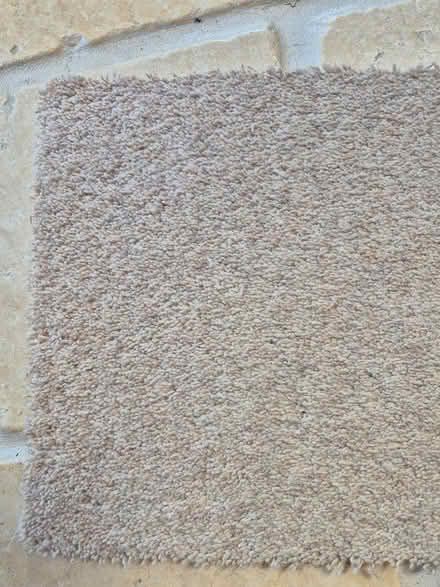 Photo of free Carpet - wool mix (Wrestlingworth) #1