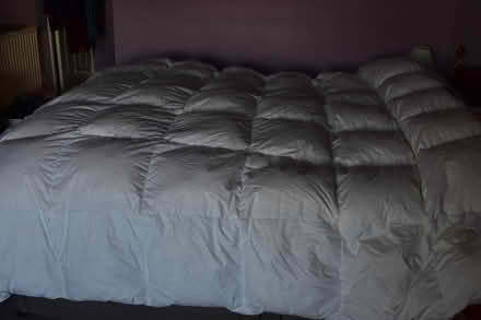 Photo of free Super King Duck Feather Duvet (Crays Hill) #2