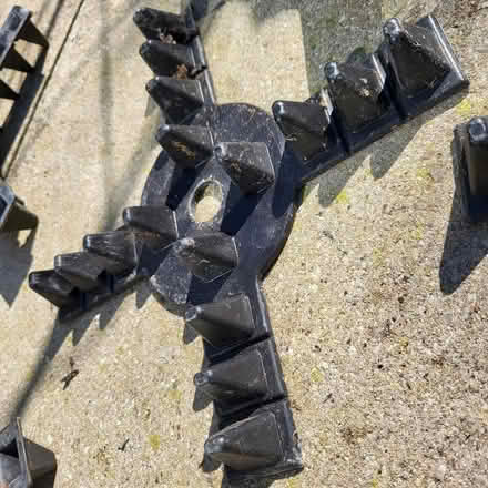 Photo of free 6 pot raisers (Oaklands nr Welwyn AL6) #2