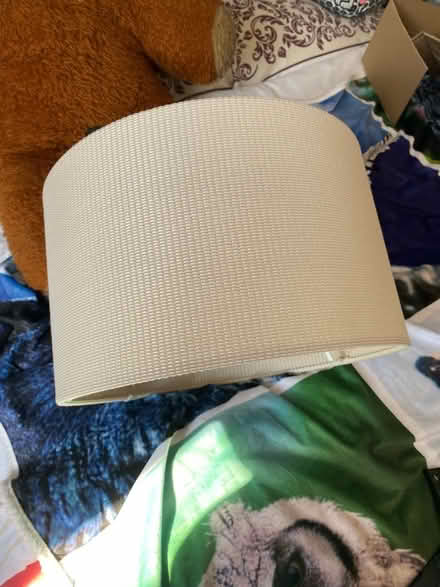 Photo of free Beige Large Lampshade (Southborough TN4) #2