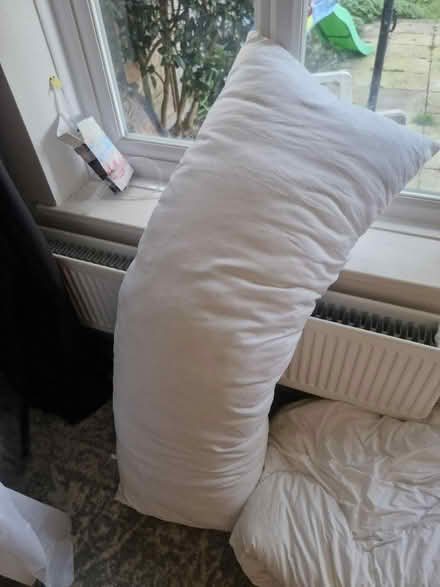 Photo of free Pregnancy pillow/large pillow (Hanworth RG12) #1