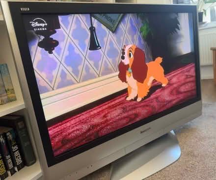 Photo of free Panasonic Plasma TV (Odd Down) #3