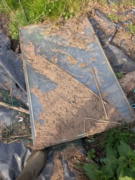 Photo of free Glass Panels (Ruyton-XI-Towns SY4) #2