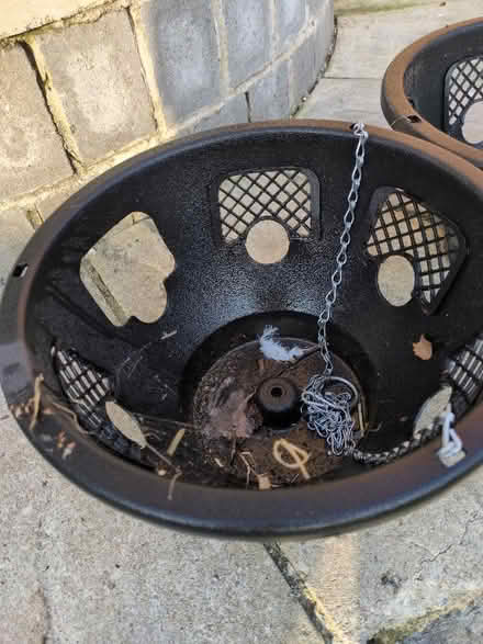 Photo of free Hanging baskets (Sothall S20) #1