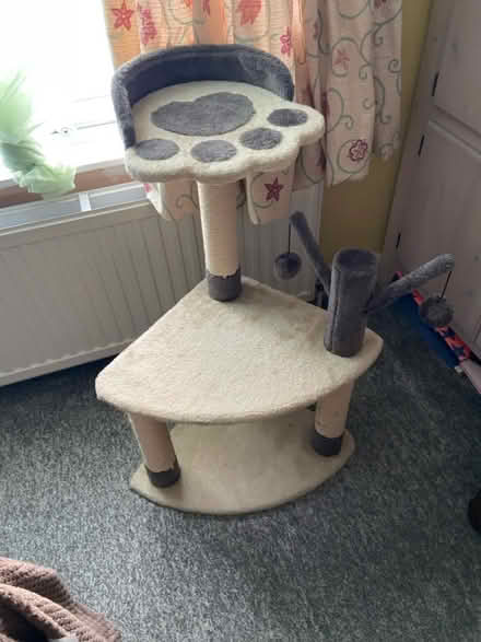 Photo of free Cat tree (Stowmarket) #1
