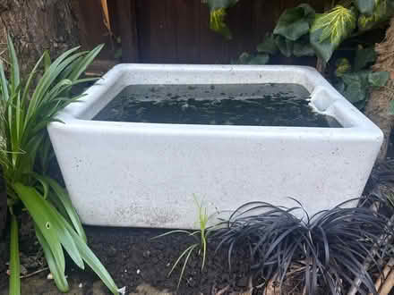Photo of free Victorian sink (Teddington TW11) #1