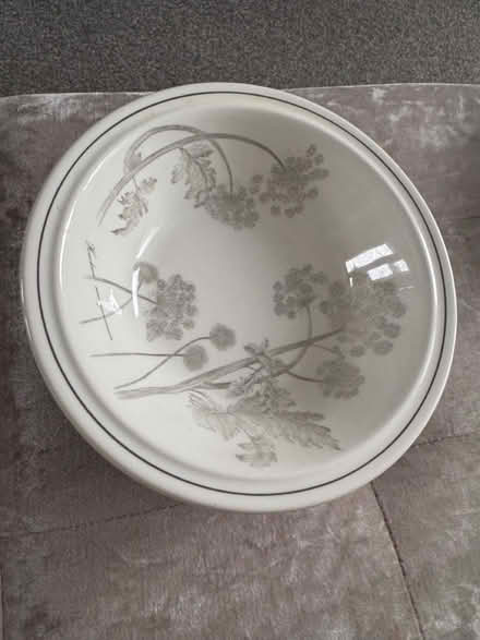 Photo of free Bowls and side plates (NE5 Cowgate) #1