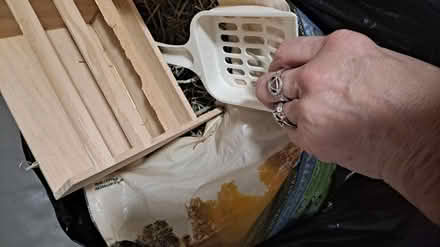 Photo of free Grass feed (Dickinson, Tx) #4