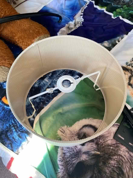 Photo of free Beige Large Lampshade (Southborough TN4) #1