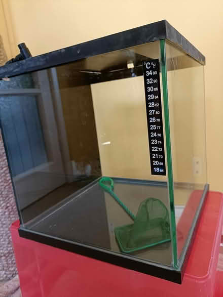 Photo of free Fish tank 27litre, no filter (New Milton BH25) #1