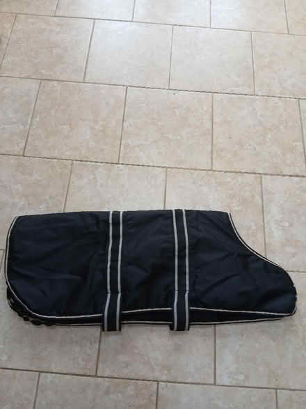 Photo of free Dog coat (Freehold LA1) #1
