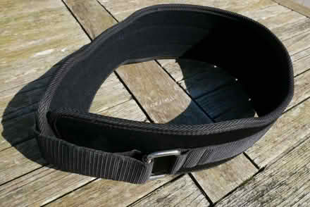 Photo of free Lumber Support Belt (Stapleton LD8) #2