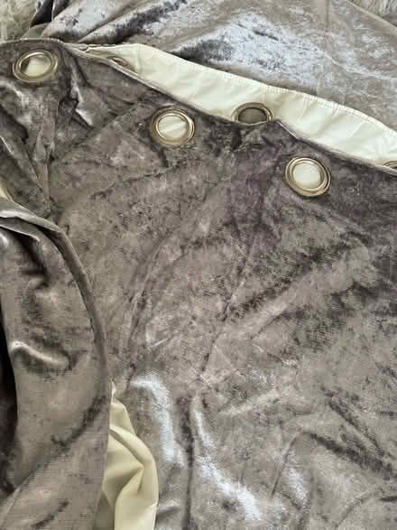 Photo of free Very long and heavy crushed velvet curtains (Birkby HD1) #3
