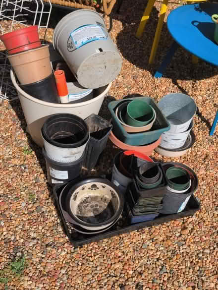 Photo of free LOTS of flowerpots (SW Berkeley) #1