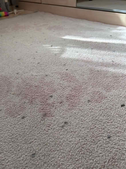 Photo of free Bedroom rug (Ha2 8pw) #2