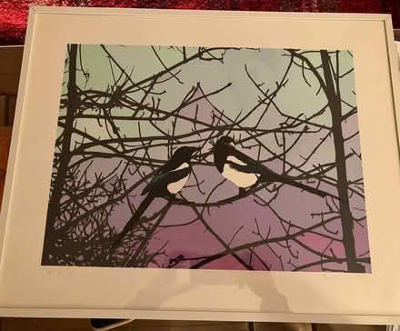 Photo of free Magpie picture (Waddon) #1