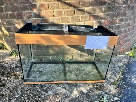 Photo of free Jewel Fish tank (Brighton BN2 6) #1
